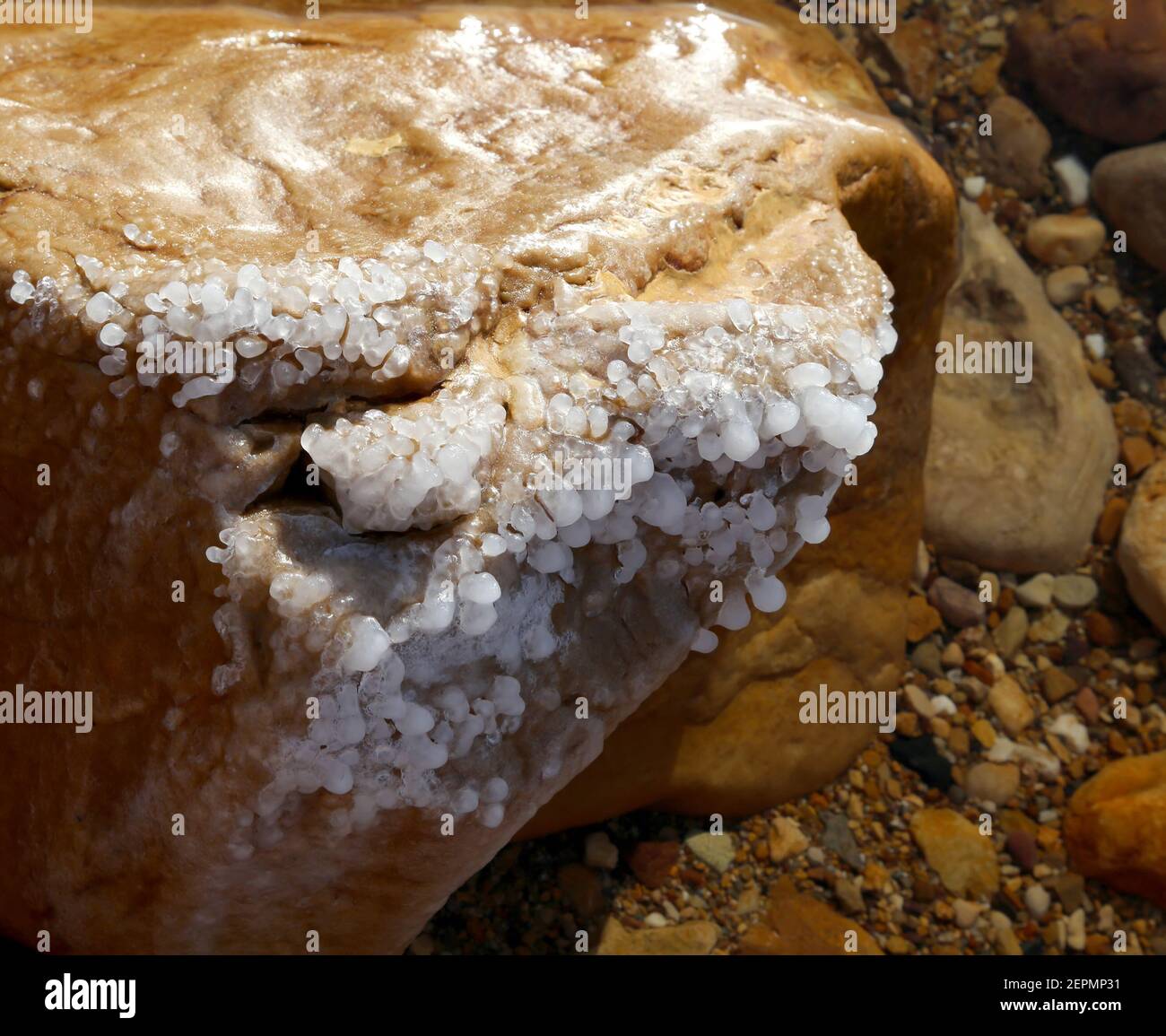 Salt Crystallisation Rocks Salt crystallisation at coast of the Dead Sea, Jordan Stock Photo - Alamy