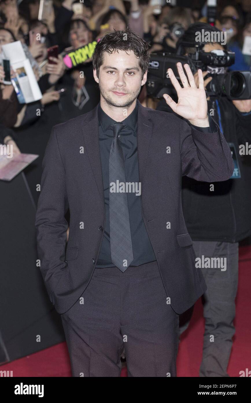 Dylan Raine 11 January 2018 - Seoul, South Korea : Actor Dylan O'Brien, attend a ...
