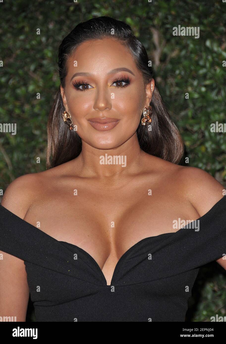 Adrienne Houghton at The 49th NAACP Image Awards held at the Pasadena