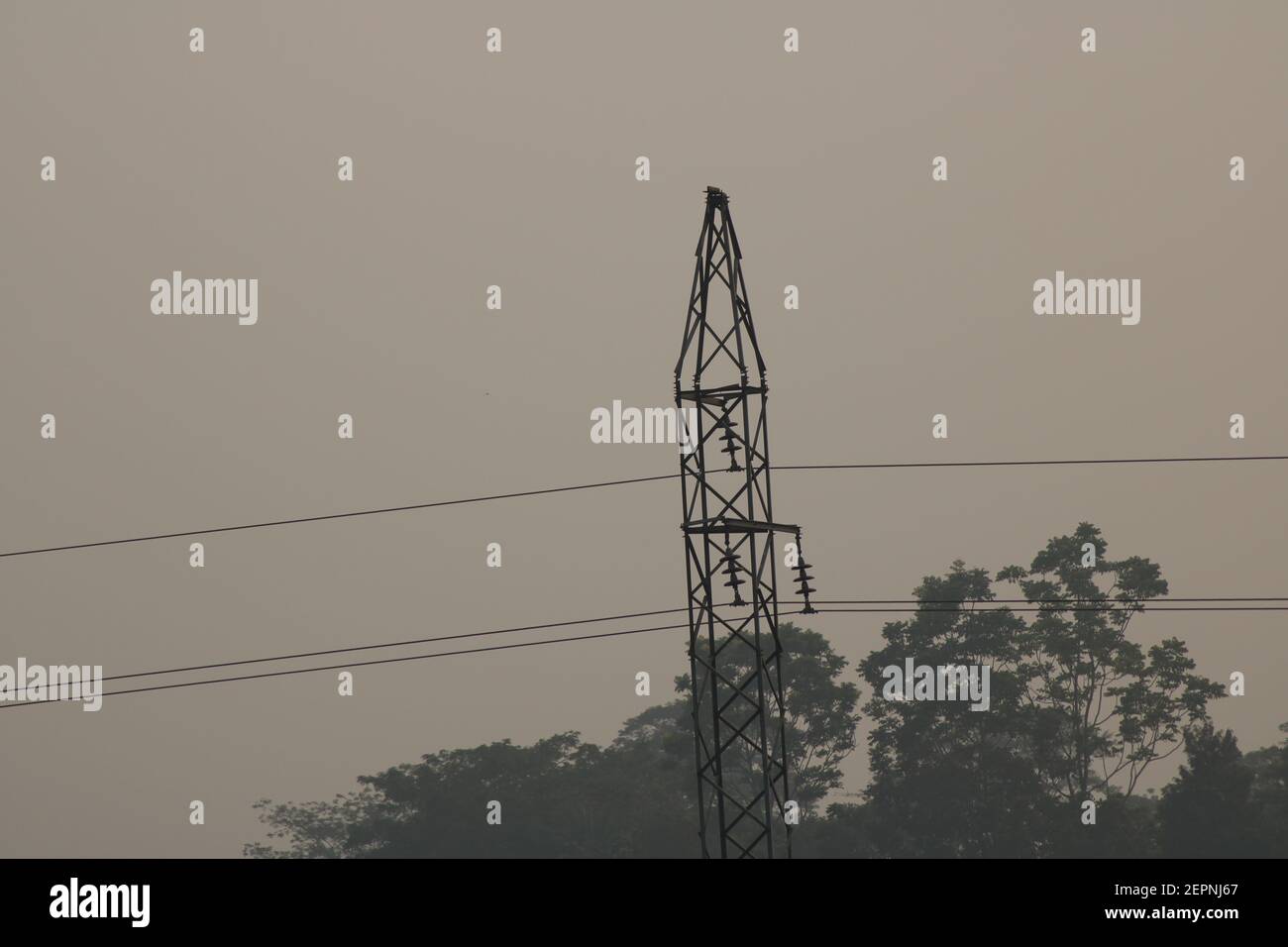 Electric cable on the electric stick photo capture at Dhaka, Bangladesh