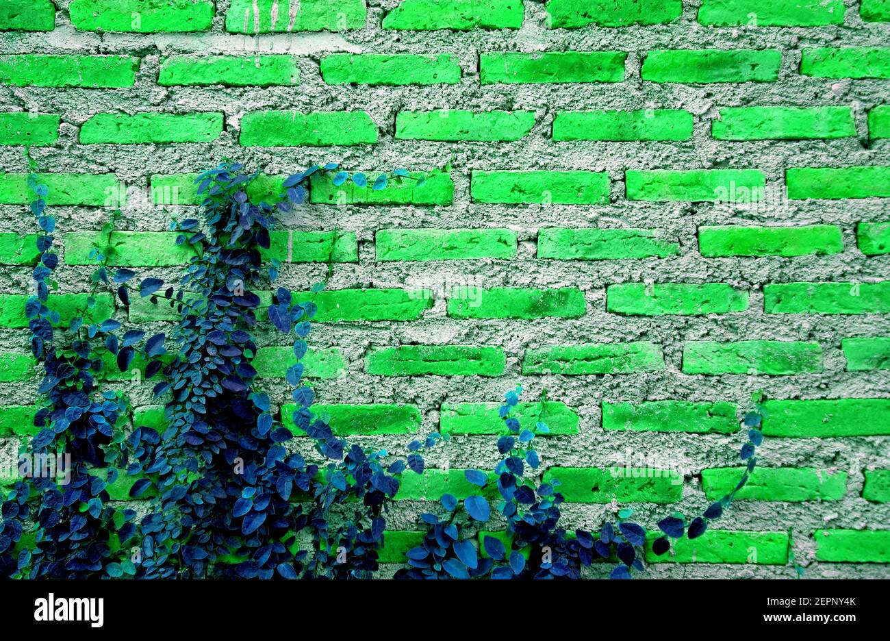 Surreal pop art style neon green colored brick wall with indigo blue  growing plant Stock Photo - Alamy