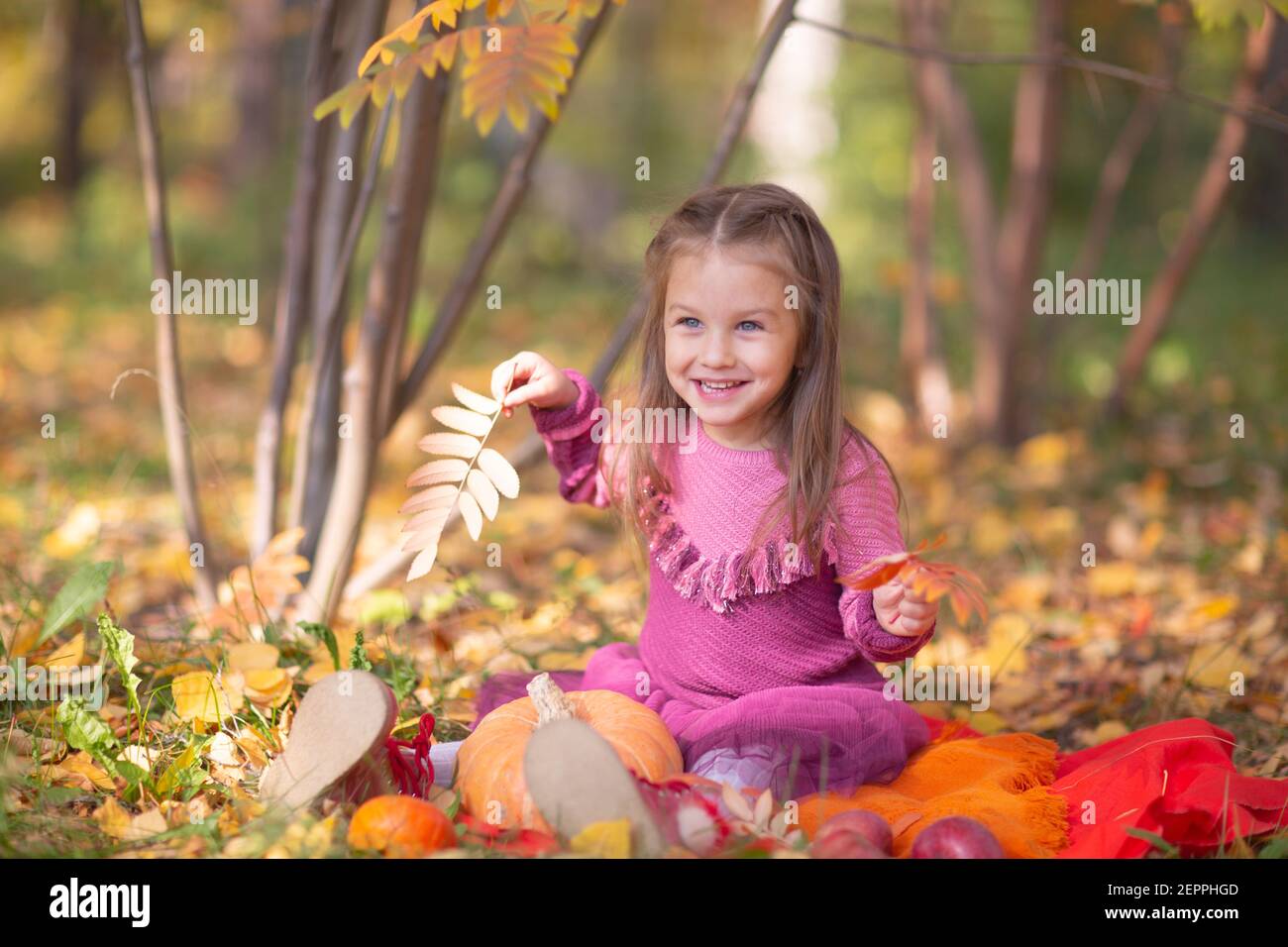 Cute little girl in autumn park with orange color leaves and yellow ...