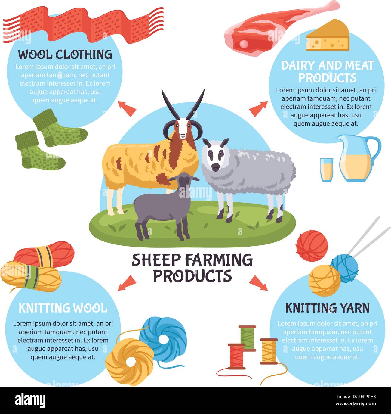 Sheep breeding farm products flat infographic poster with dairy and