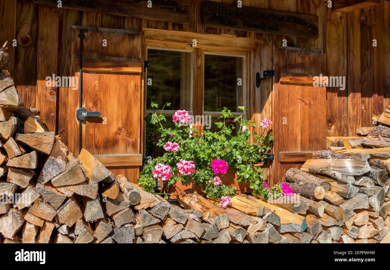 Stacked chopped wood logs. Window with geranium plant. Dorfer valley. Venediger group. Virgental. Austrian Alps. Europe Stock Photo