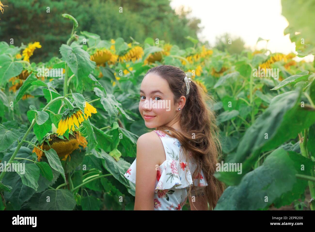 Cute teen girl is smiling with sunflower in summer field Stock Photo
