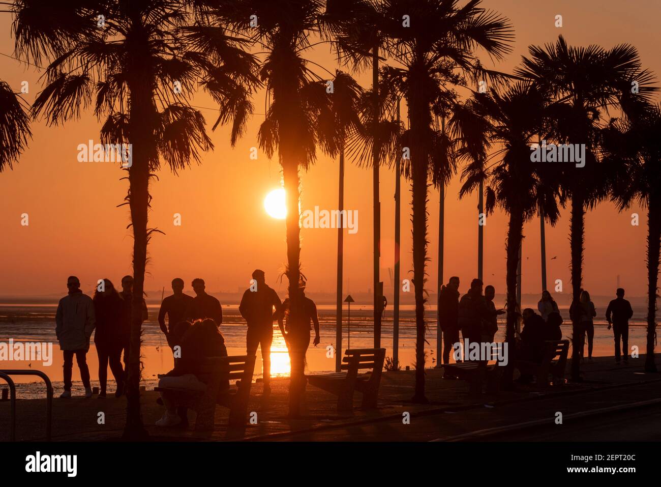 People out walking at sunset in Southend on Sea, Essex, UK, during COVID 19 lockdown. Groups of friends sitting and exercising. Low sun behind palms Stock Photo