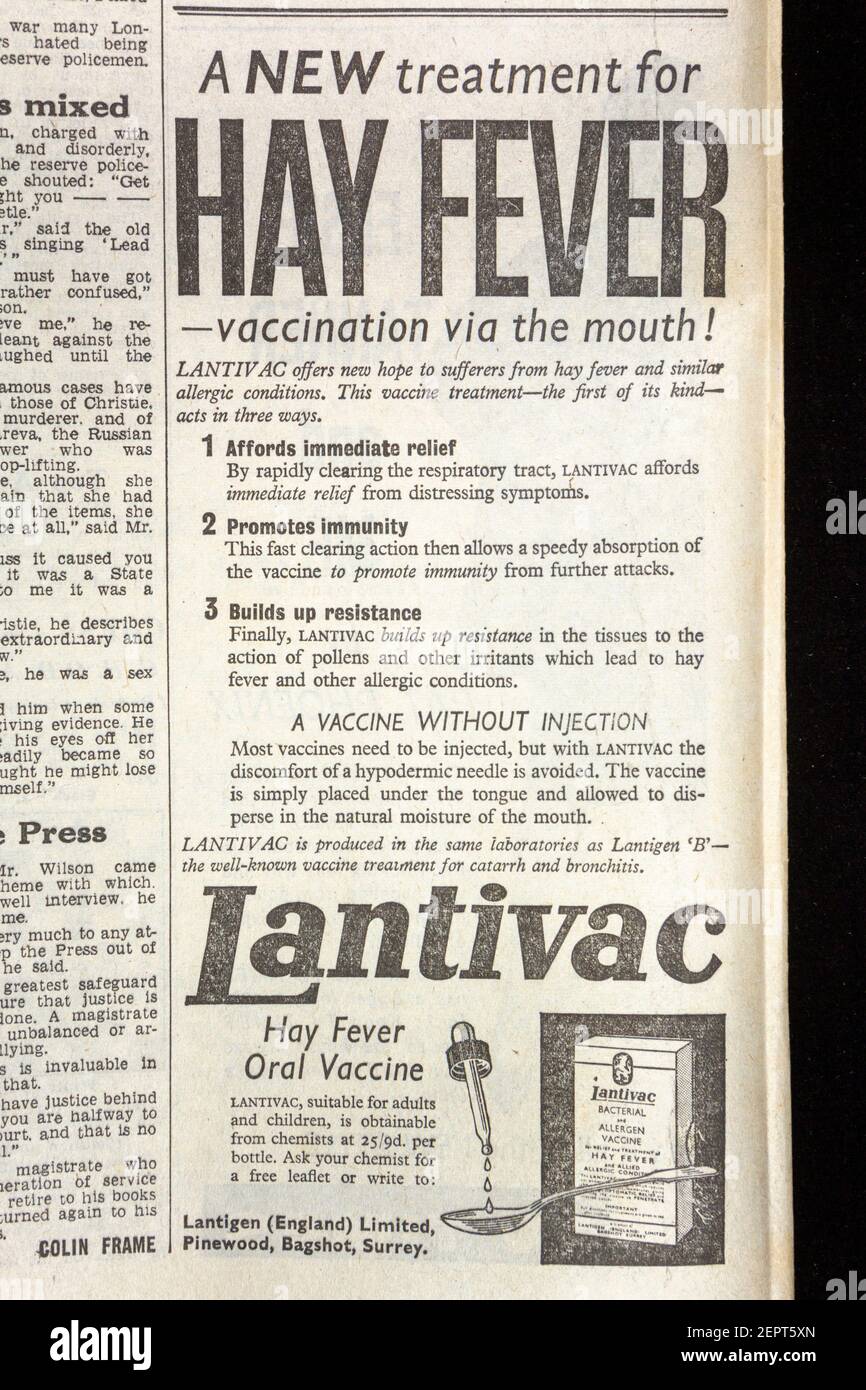 Advert for Lantivac hay fever treatment in the Evening News newspaper (Thursday 10th May 1962), London, UK. Stock Photo
