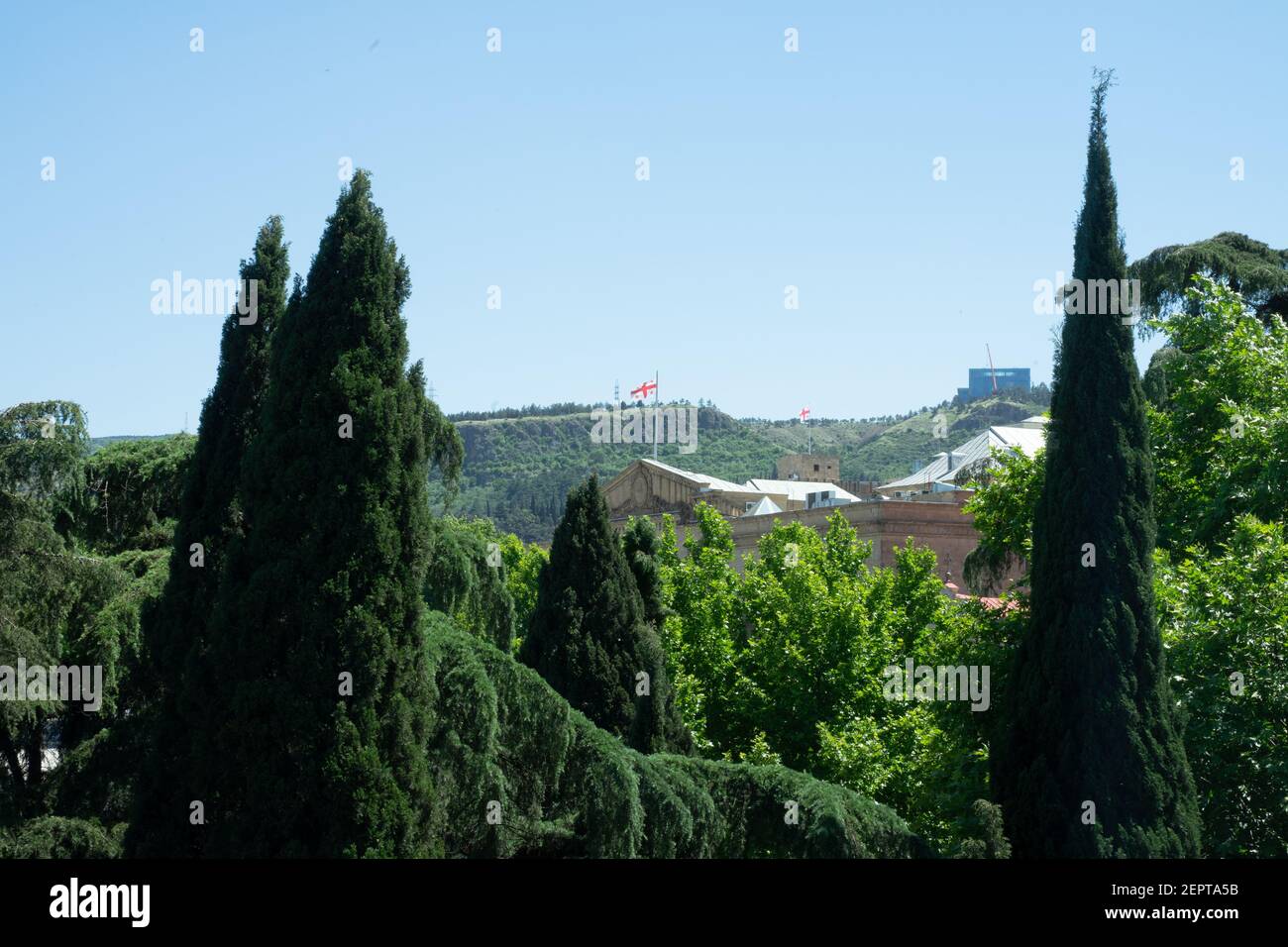 Gorgeous landscape in Tbilisi, Georgia with coniferous evergreen trees including cypresses, spruces, flag of Georgia in the middle under the blue sky Stock Photo