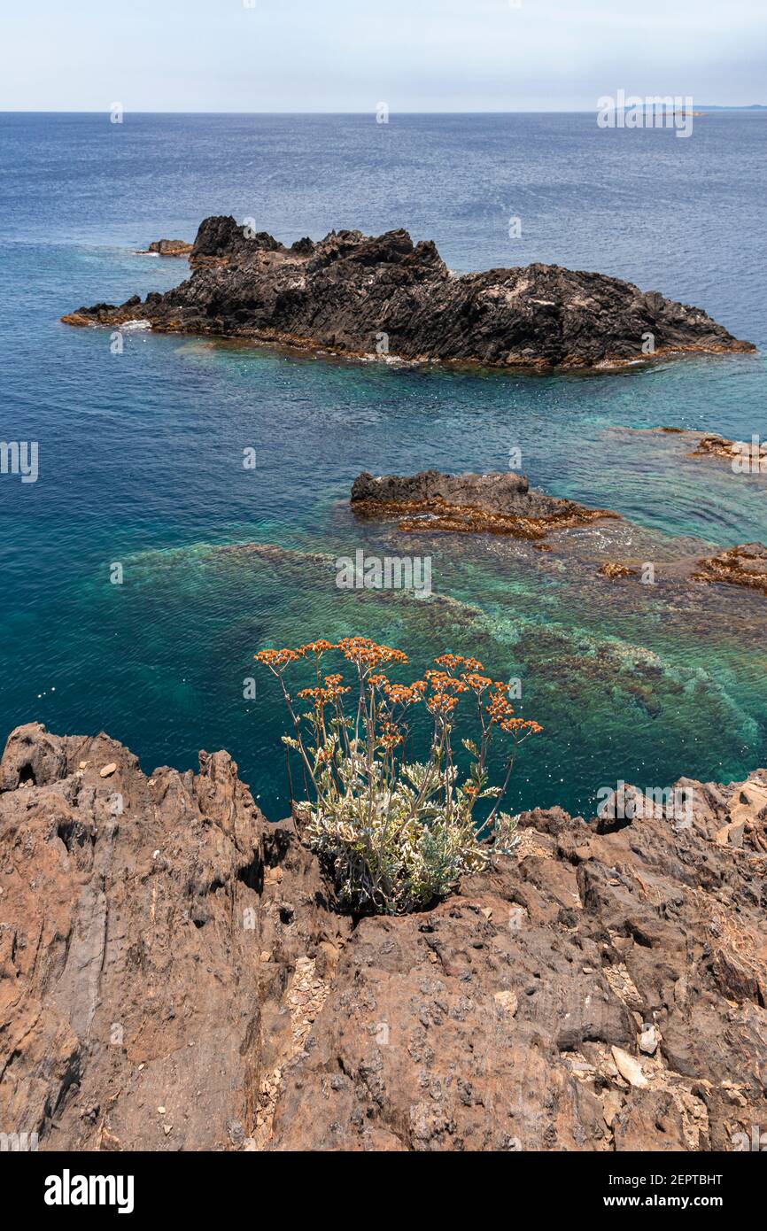 coast of cap of creus in the north of spain in mediterranean sea near cadaques in girona Stock Photo