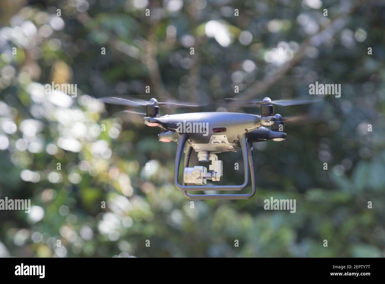 Mavic drone operating  at low level in a tropical rainforest Stock Photo