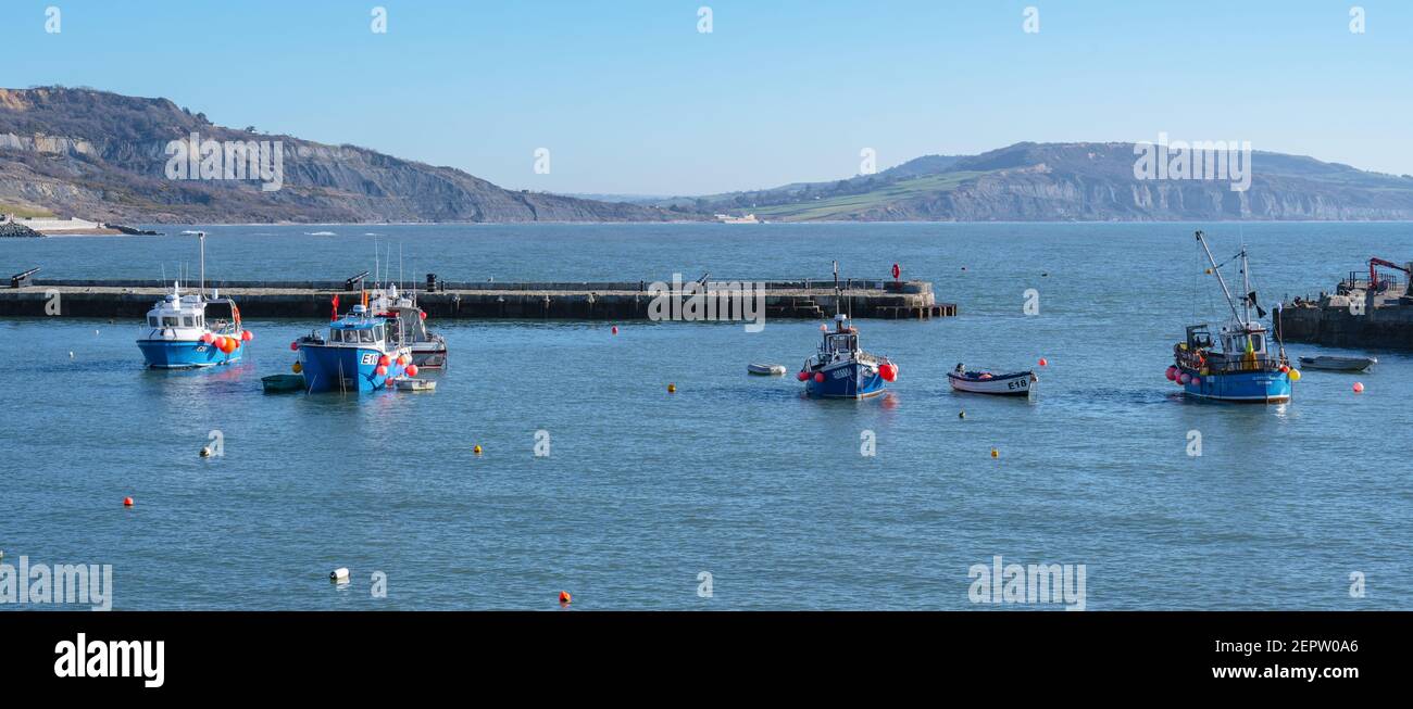 Lyme Regis, Dorset, UK. 28th Feb, 2021. UK Weather: Brightly coloured fishing boats in the harbour at the seaside resort of Lyme Regis on a morning of bright spring sunshine and clear blue skies. Credit: Celia McMahon/Alamy Live News Stock Photo
