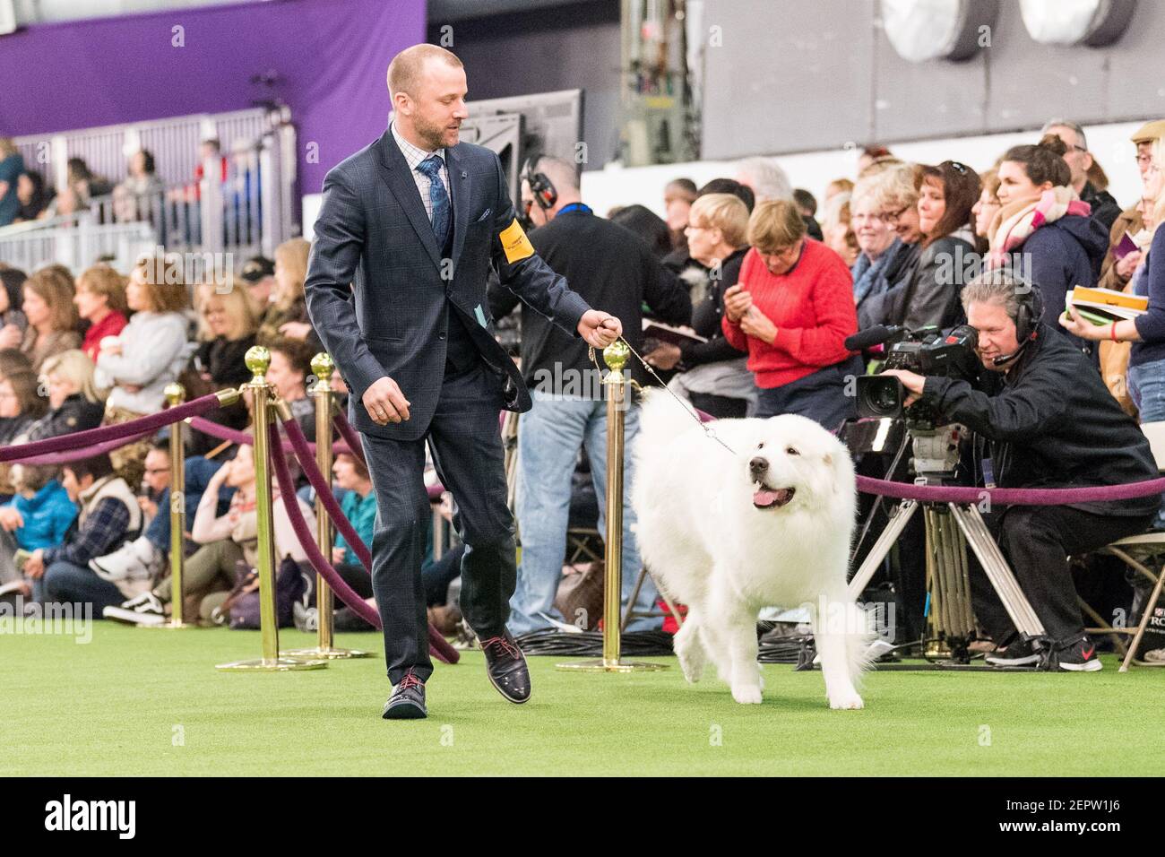 The 142nd Annual Westminster Kennel Club Dog Show in New York, NY on