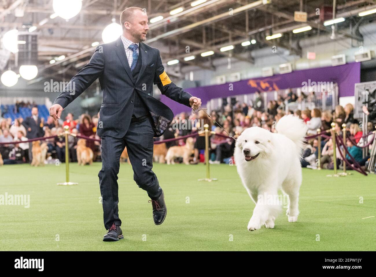 The 142nd Annual Westminster Kennel Club Dog Show in New York, NY on