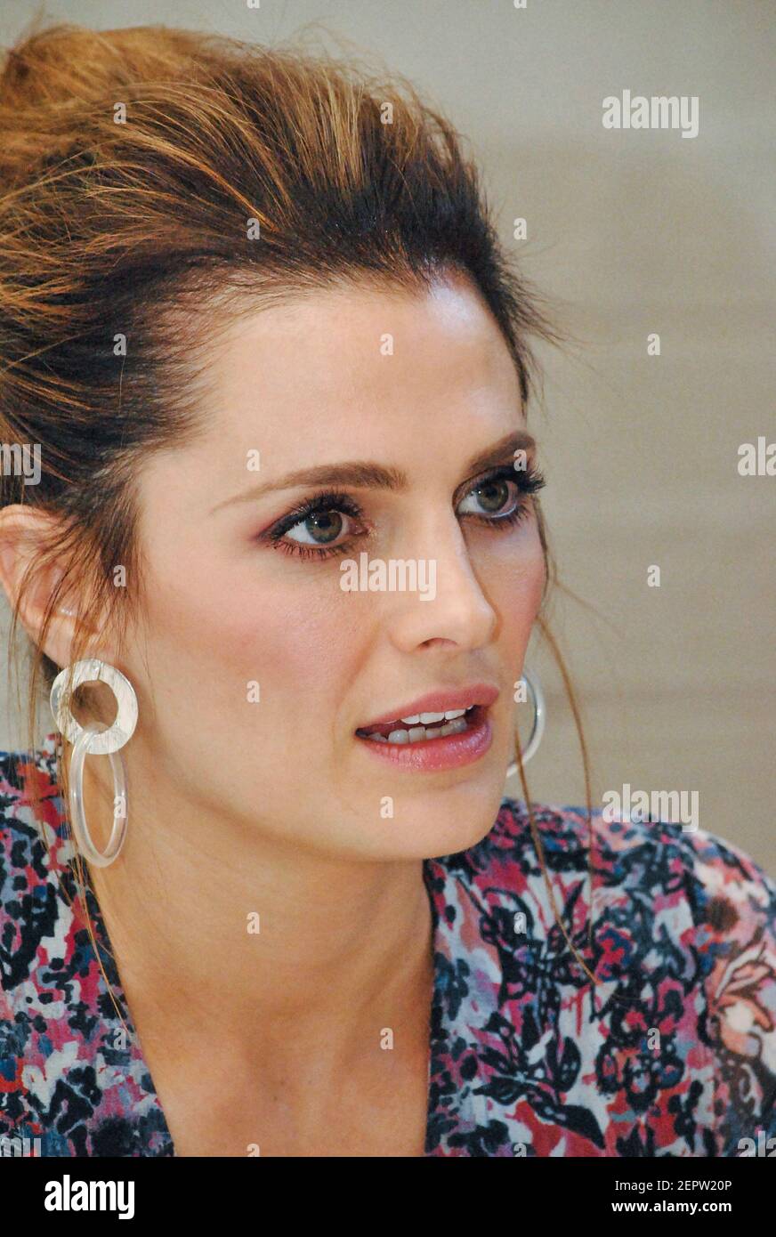 Stana Katic at the Hollywood Foreign Press Association press conference