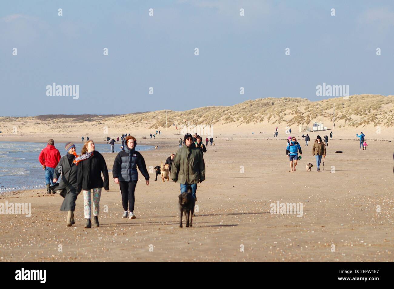 Can Dogs Go Camber Beach