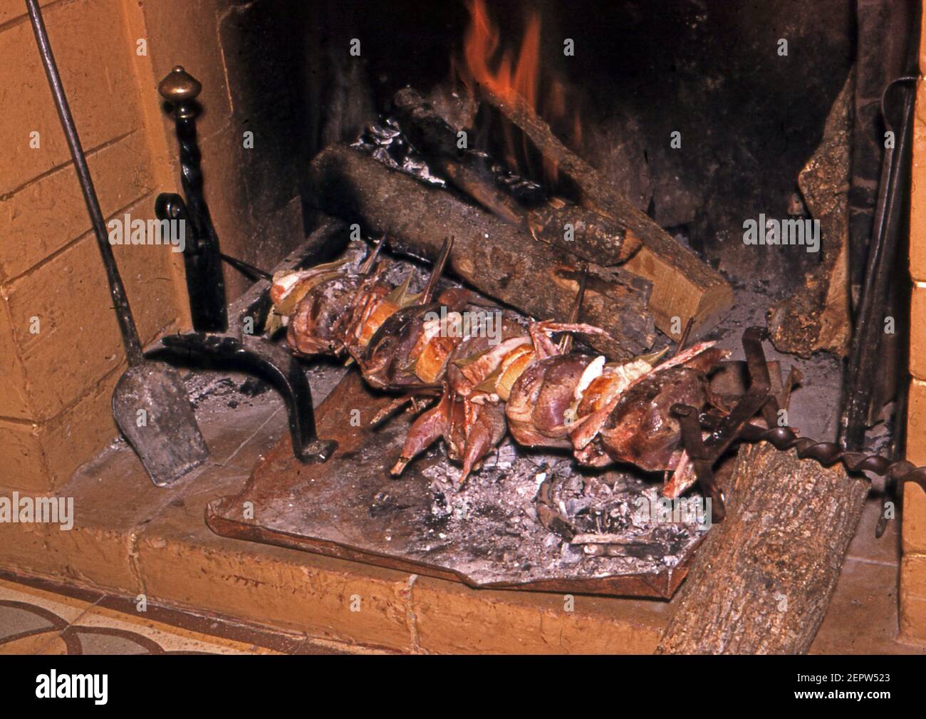 Birds roasted Stock Photo
