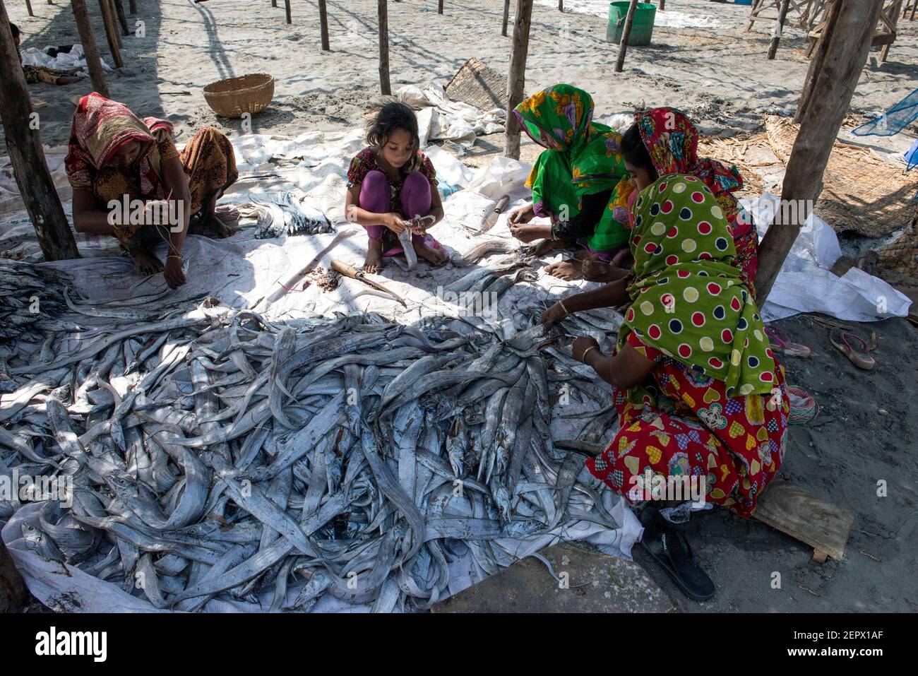 Fishprocess hi-res stock photography and images - Alamy
