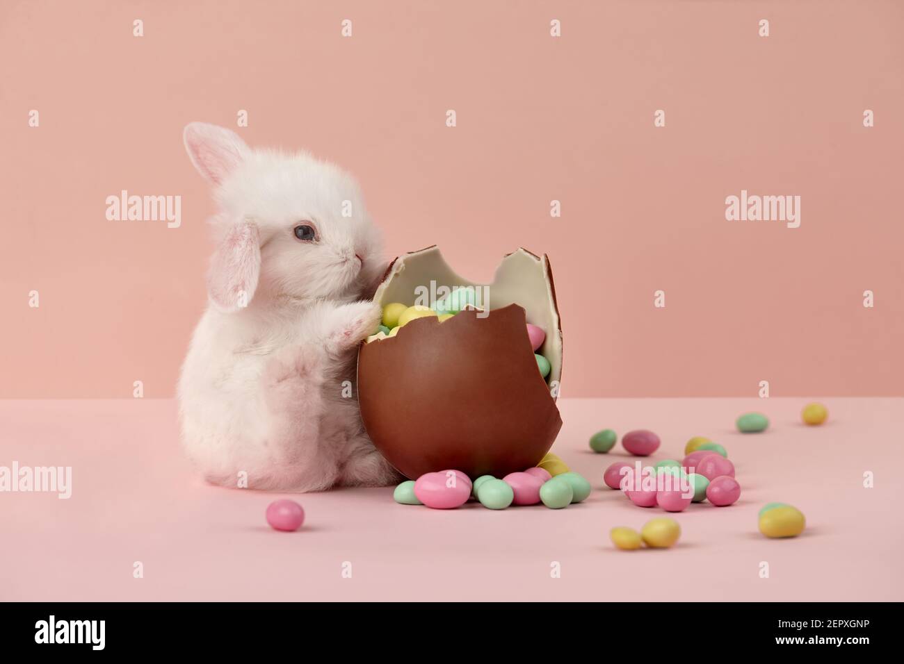 Cute white Easter bunny rabbit with chocolate egg and colorful sweets on pink background Stock Photo