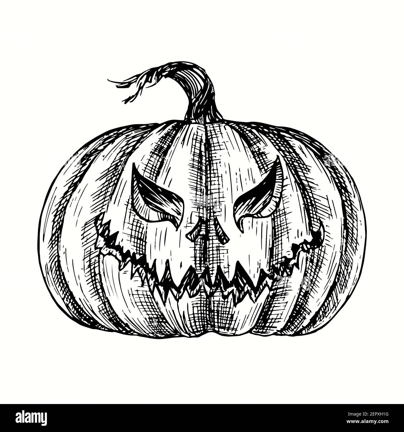 Halloween pumpkin Jack-o-lantern. Ink black and white drawing Stock Photo -  Alamy