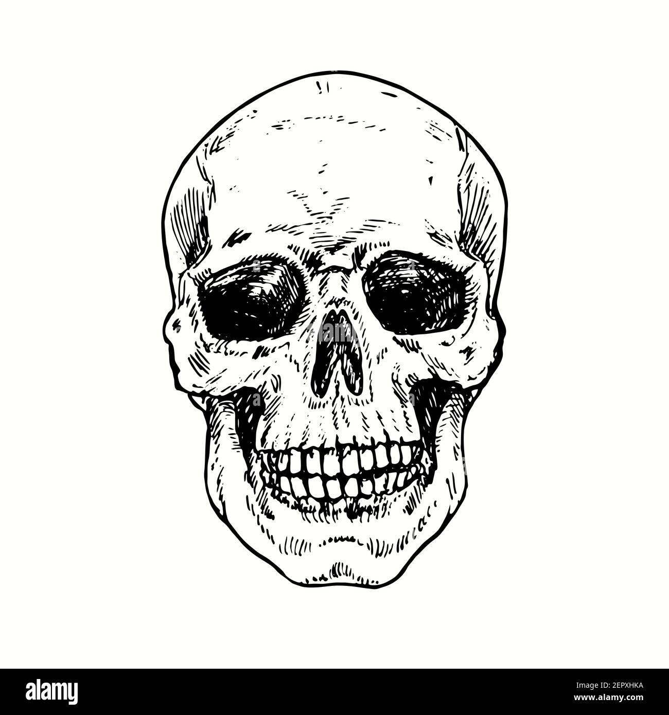 Skull face, front view. Ink black and white drawing. Stock Photo