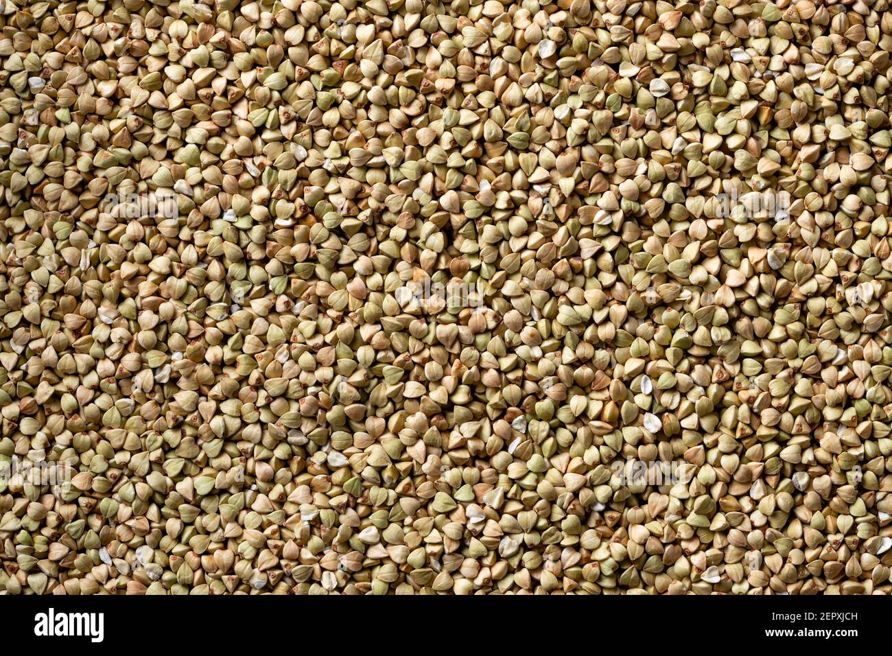 raw green unprocessed buckwheat background Stock Photo