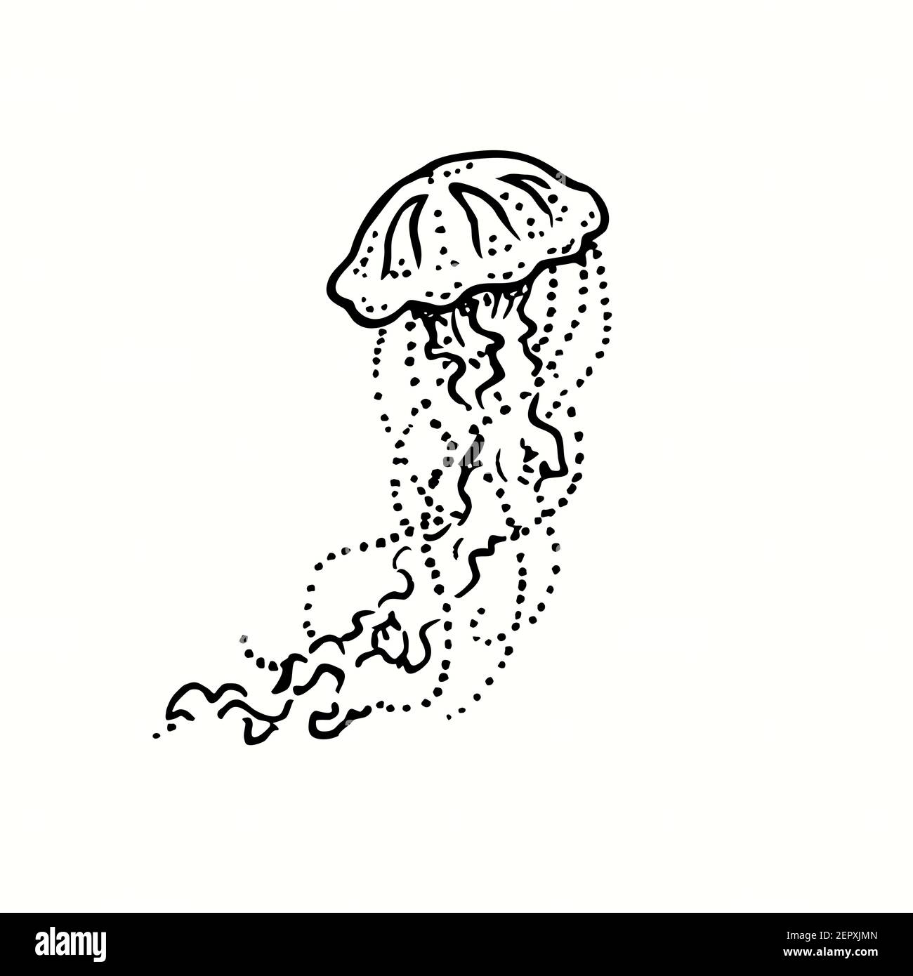 jellyfish drawing