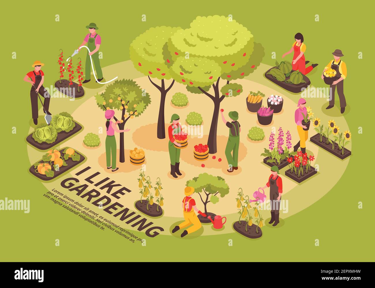 Gardening infographic elements composition isometric poster with trees flowers  planting vegetables watering cabbage pumpkin harvesting vector illustr Stock Vector