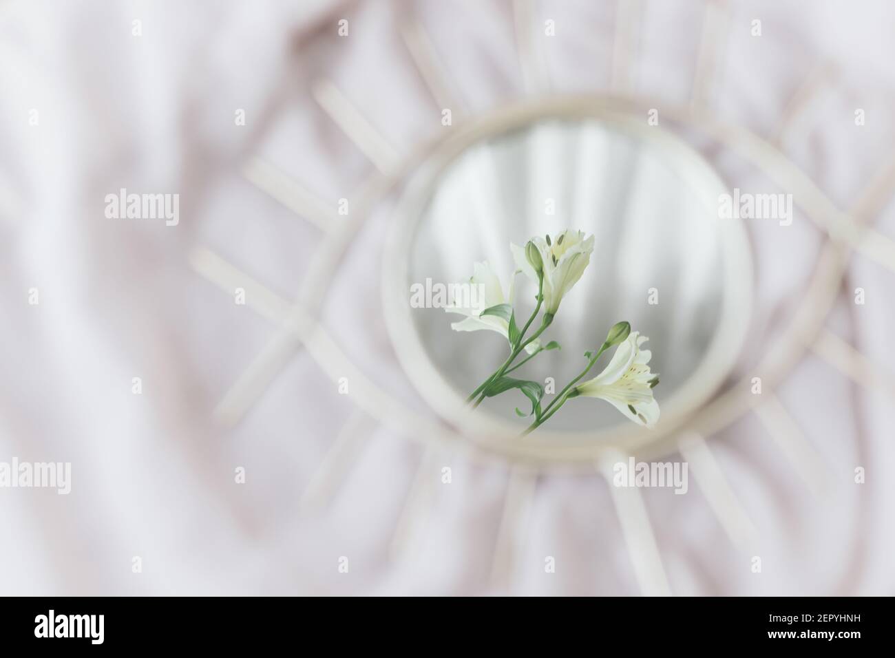 Beautiful alstroemeria flowers reflected in mirror on background of soft  fabric. Spring aesthetics and floral scent. Mental Health concept. Soft gent  Stock Photo - Alamy