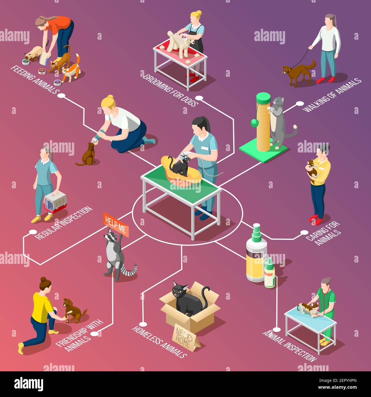 Animal care volunteers during feeding, grooming, walking, veterinary