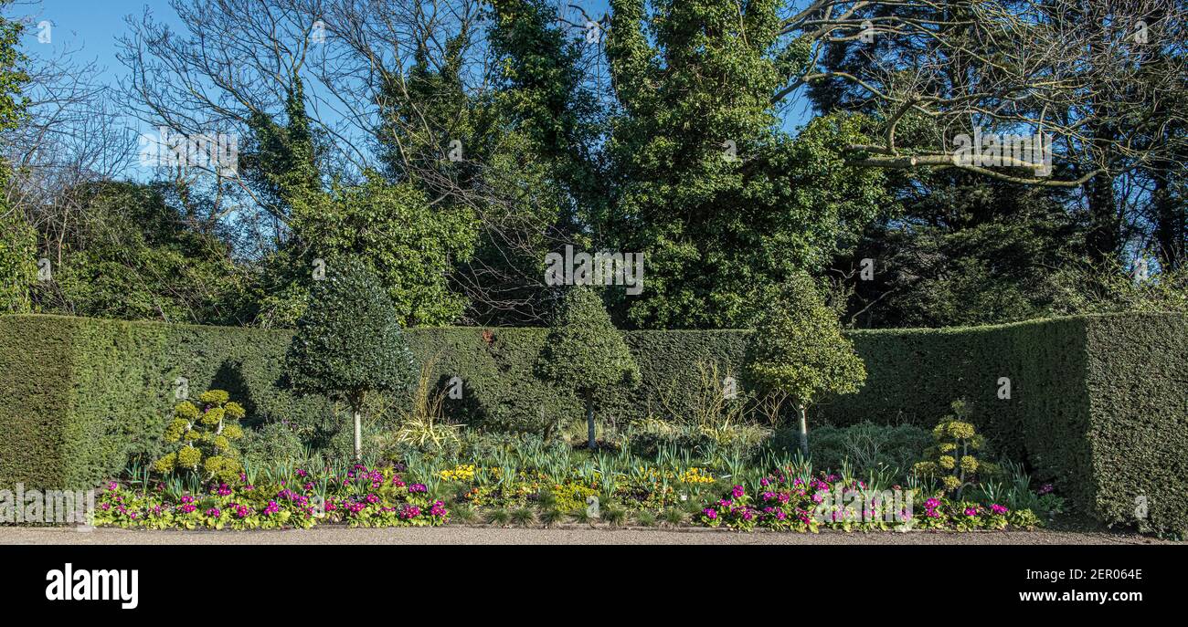 Flower bed in hedge alcove Queen Mary's gardens Regents Park London