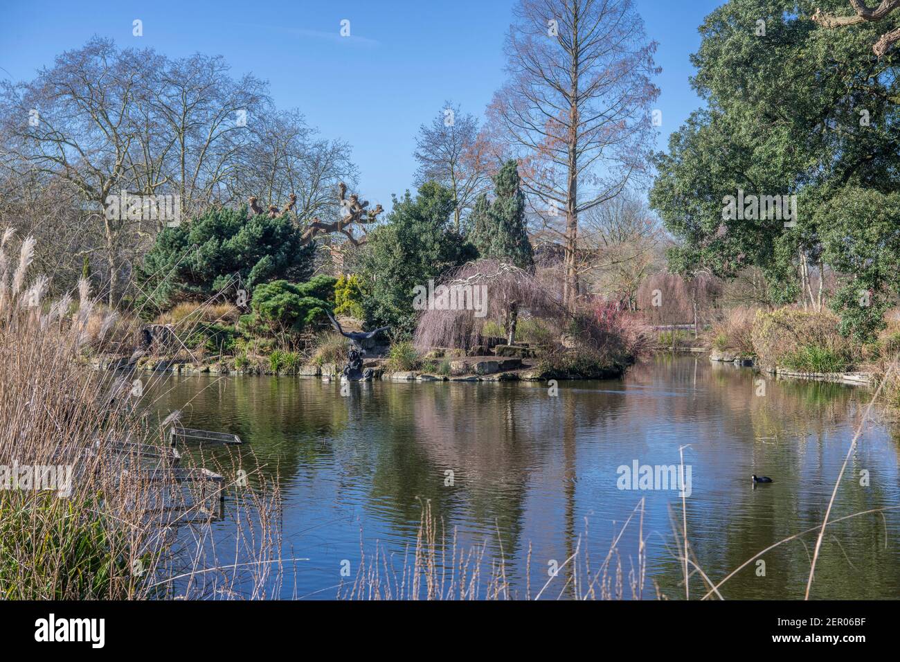 Small lake Japanese garden island Queen Mary's gardens Regents Park London England Stock Photo