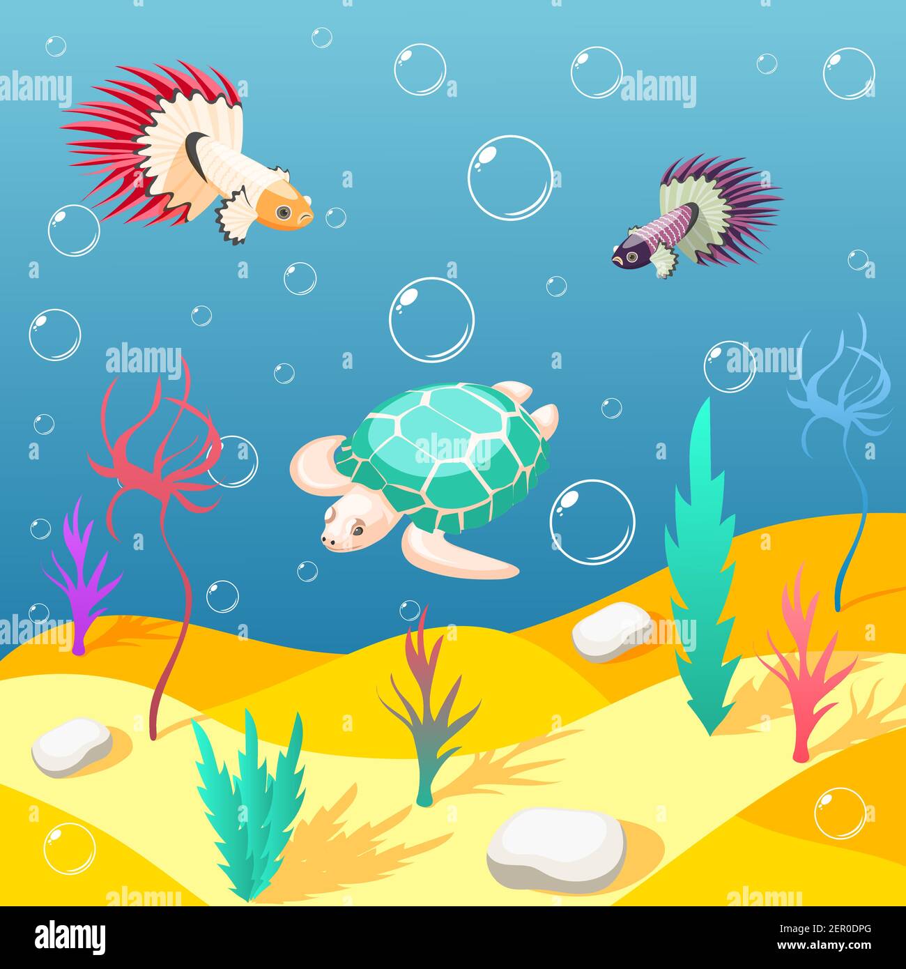 Inhabitants of underwater world isometric background with sand seabed  exotic turtle and birds cartoon vector illustration Stock Vector Image &  Art - Alamy