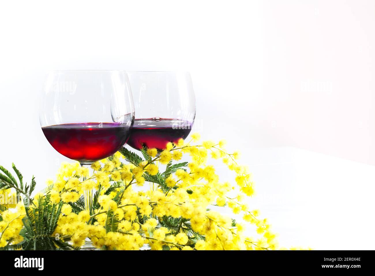 Branch of mimosa hi-res stock photography and images - Alamy