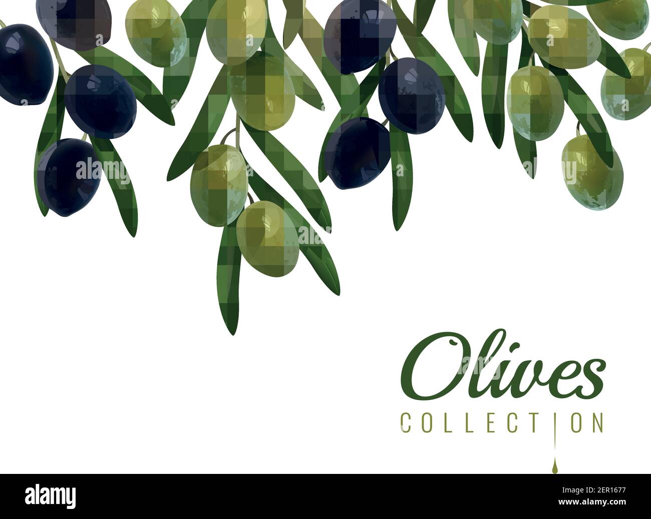 Realistic branches of green and black glossy olives with leaves on ...