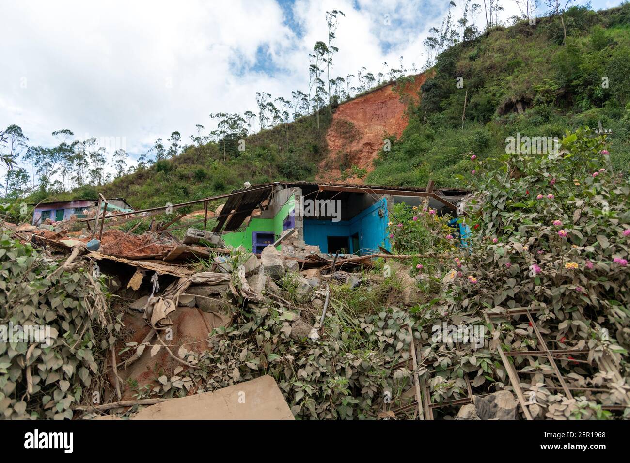 Area of Landslide in Munnar which caused death of four people in a family during heavy rainfall in 2018 at kerala Stock Photo