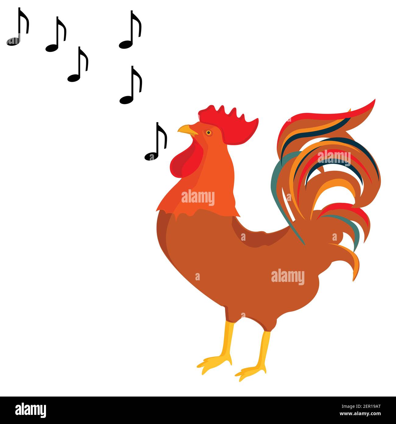 Vector illustration rooster crows, singing song. Poultry farm animals