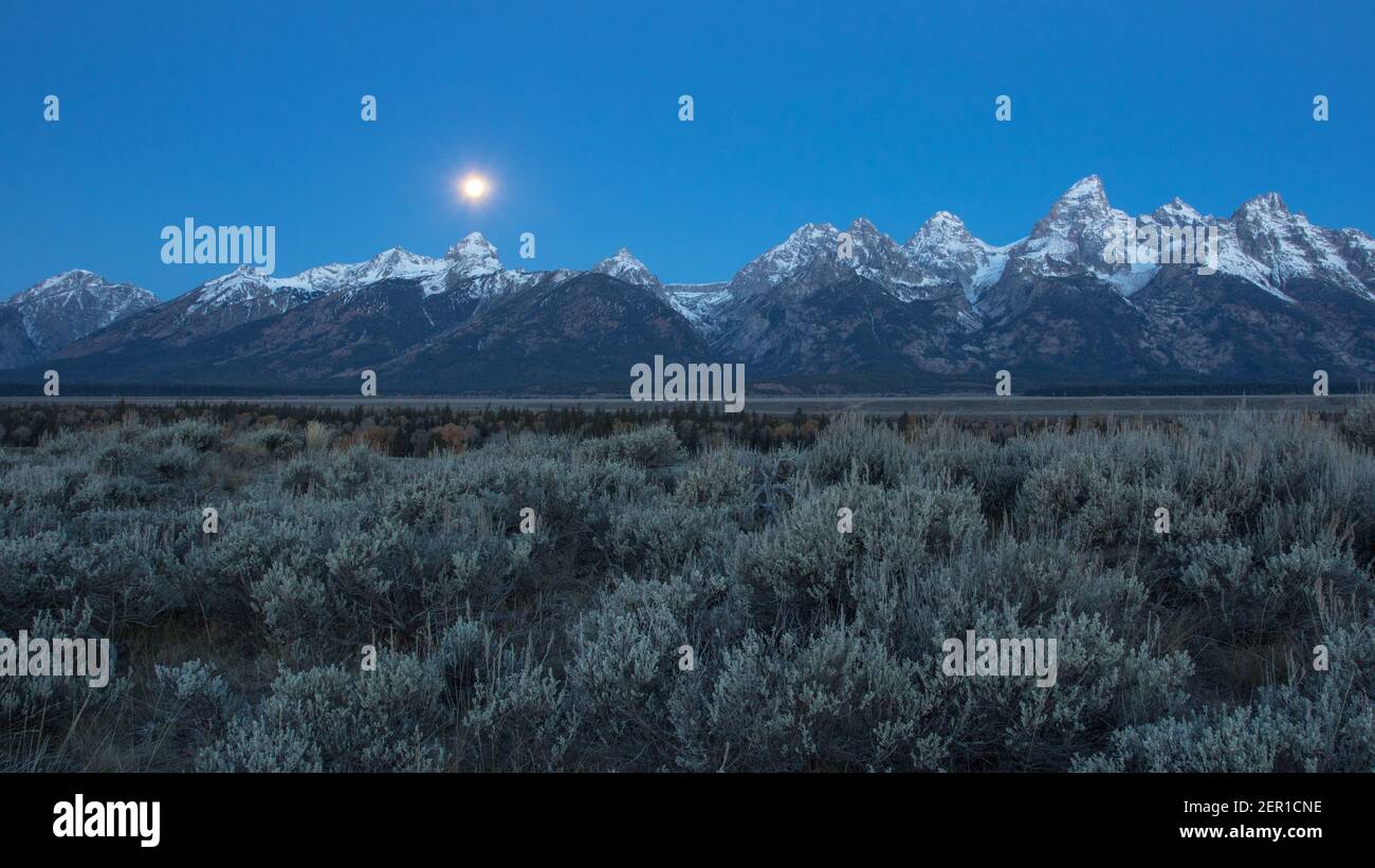 Moon setting behind the Teton Mountains. Stock Photo