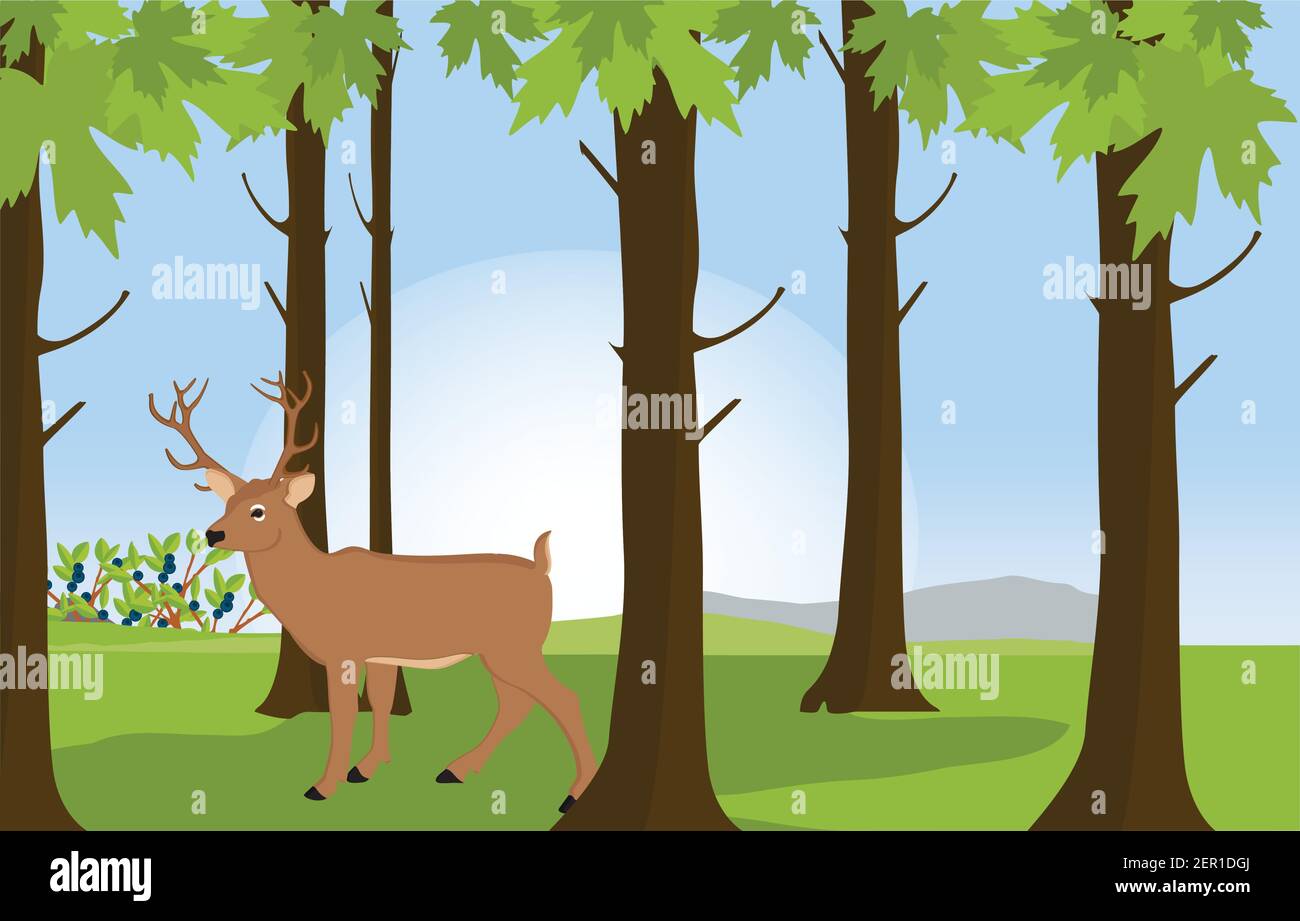 Vector illustration green sunny forest landscape with deer great antler