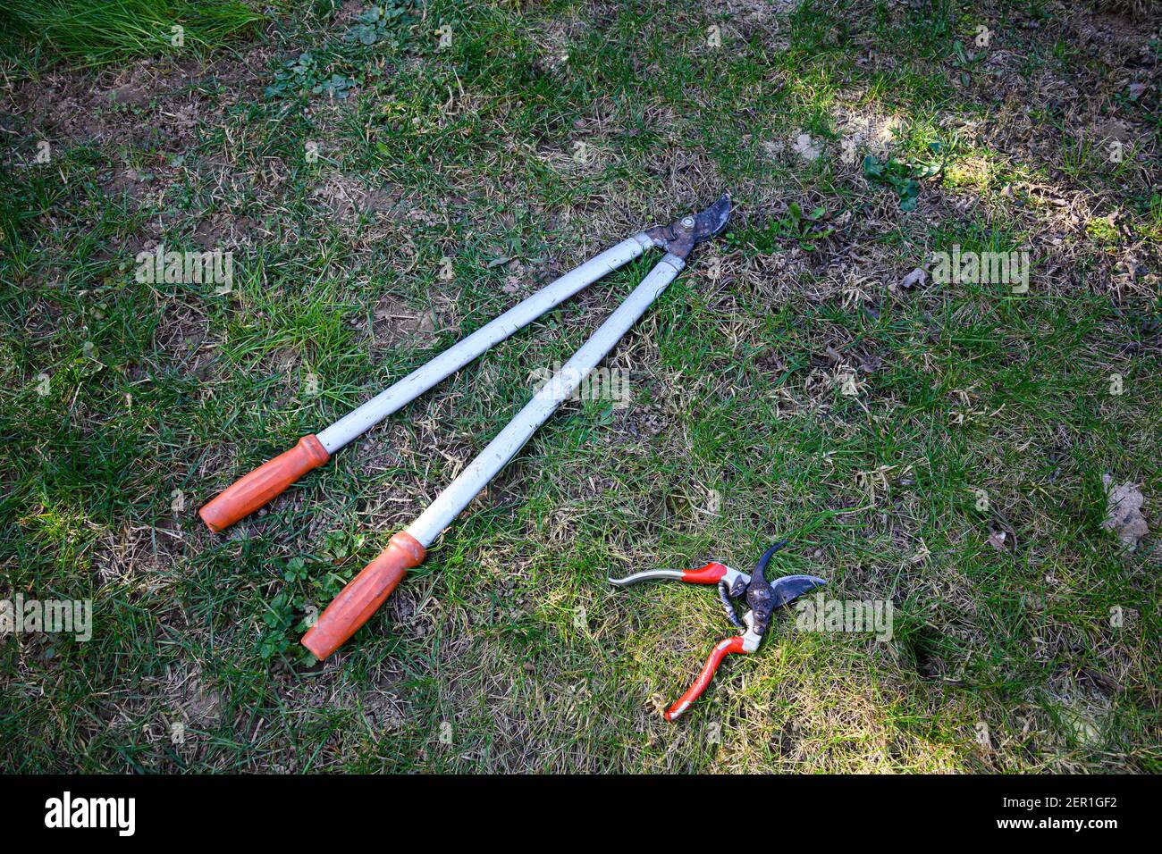 Tools for pruning fruit plants Stock Photo Alamy