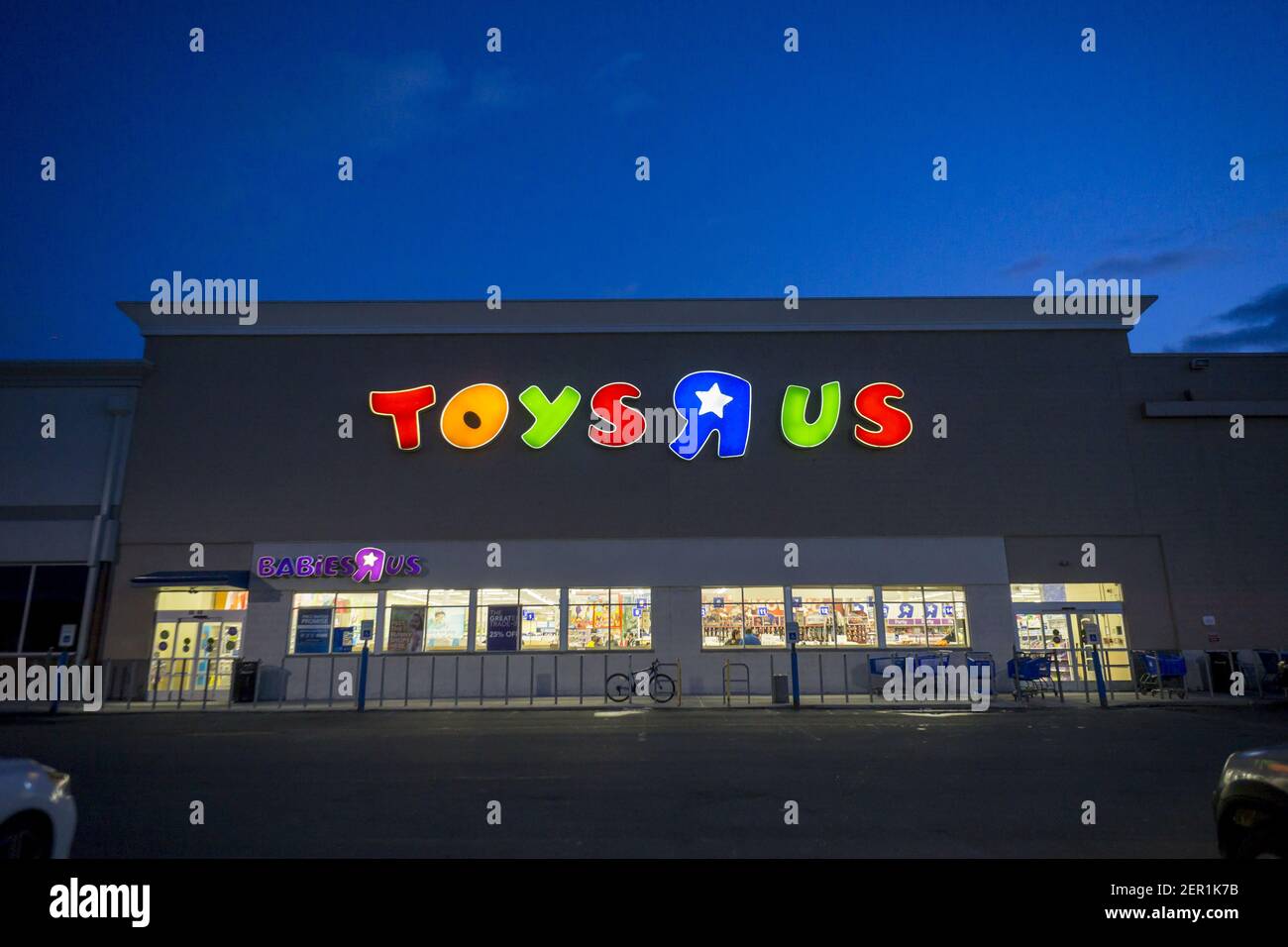 Toy store queens sale