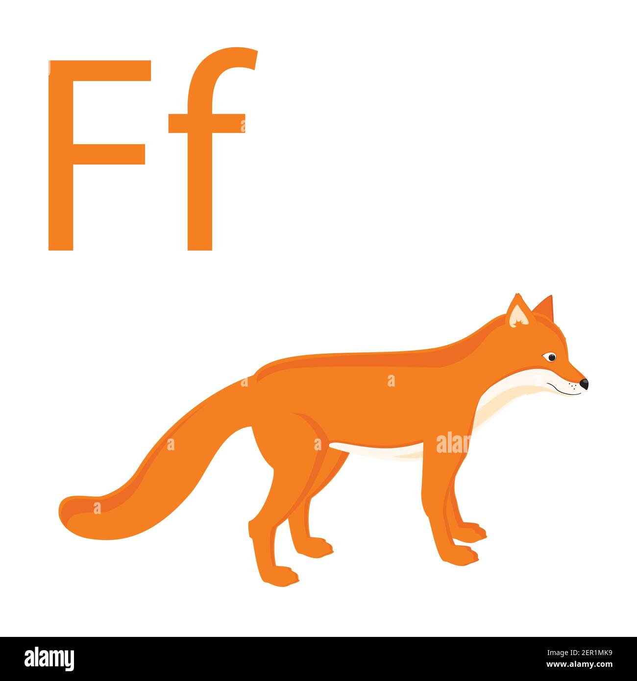 Fox word. Fox для детей английский. Лиса буква f. Лиса из азбуки. Лисий алфавит.