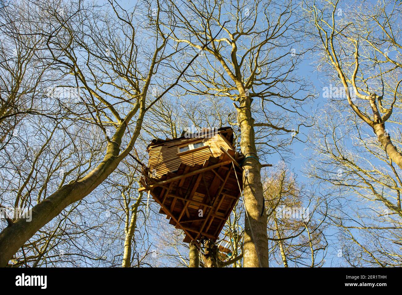 Aylesbury, Buckinghamshire, UK. 26th February, 2021. A tree house at the  camp. A protester tree house. Following the partial eviction of HS2 anti  HS2 protesters from Poor's Piece in Steeple Claydon this