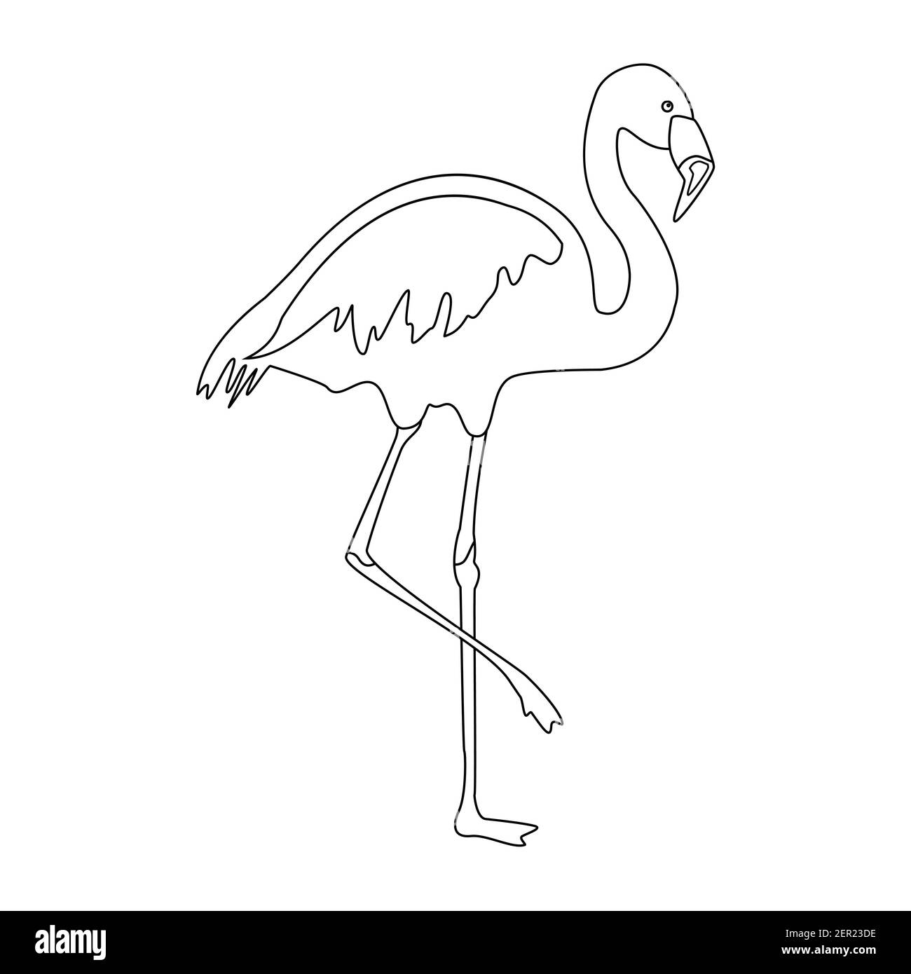 How To Draw A Flamingo Step by Step Drawing Guide by Dawn  DragoArt