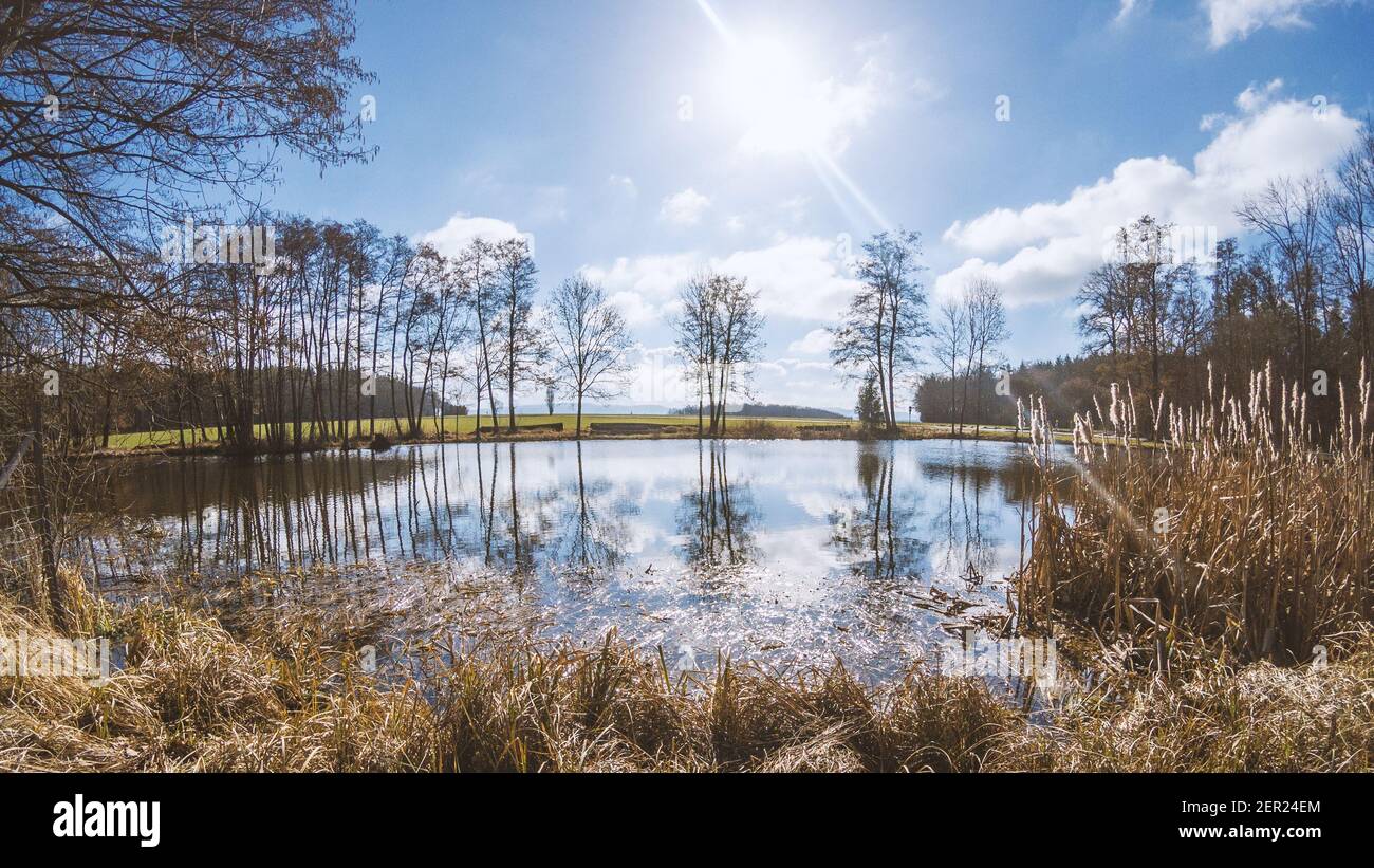 Small pond hi-res stock photography and images - Alamy