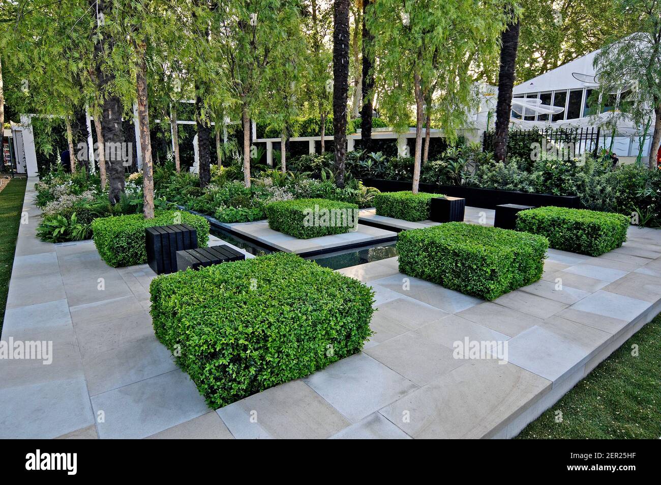 A modern show garden of a city garden square with topiary box cubes Stock Photo