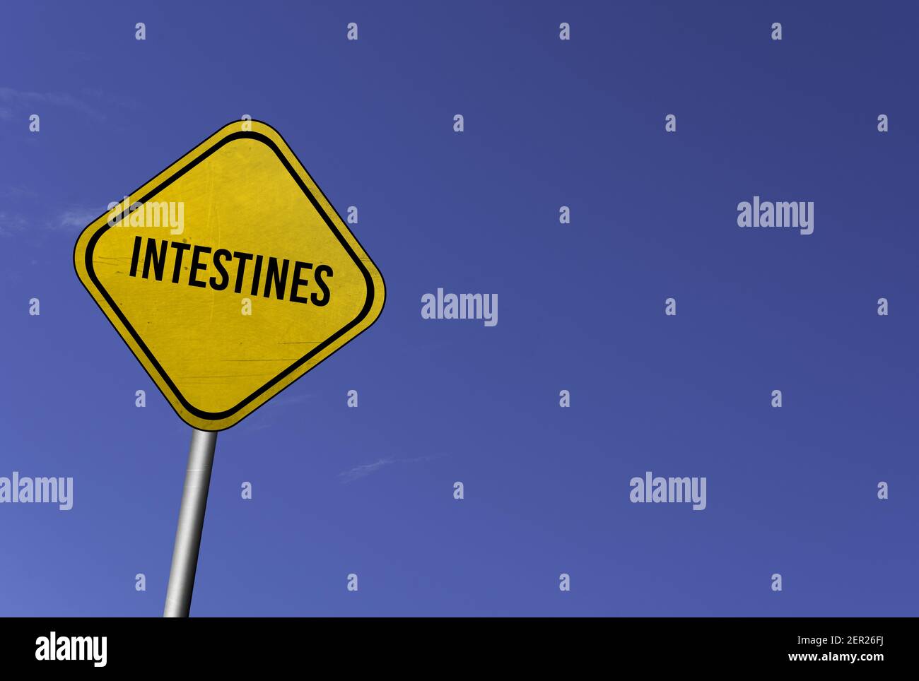 Intestines (large intestine and small intestine) - yellow sign with