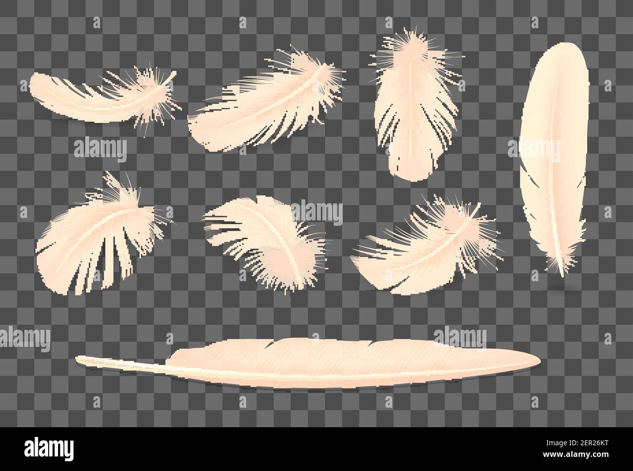 Bird soft feathers realistic transparent set isolated Stock Vector ...