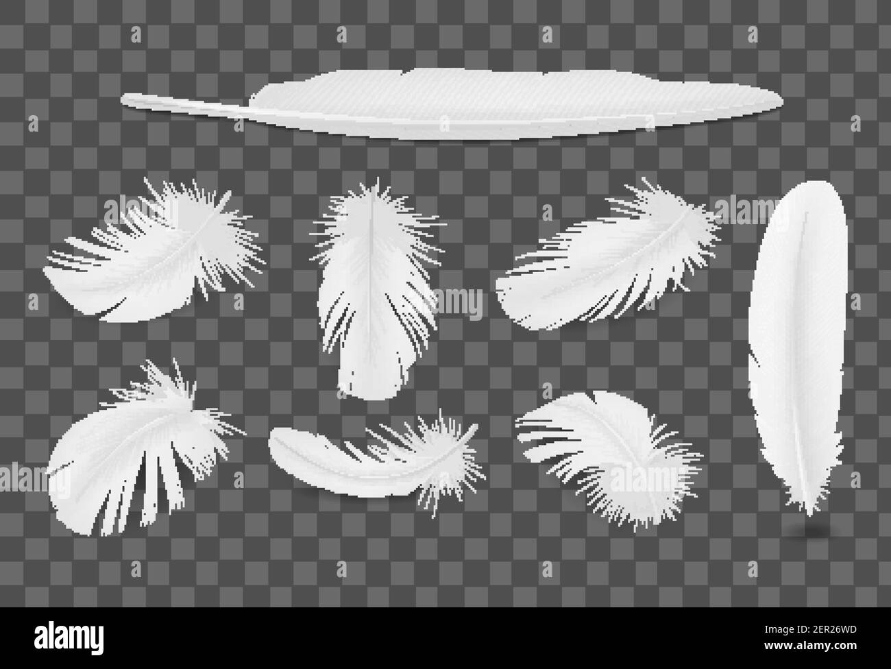 White bird feathers transparent realistic set isolated Stock Vector ...