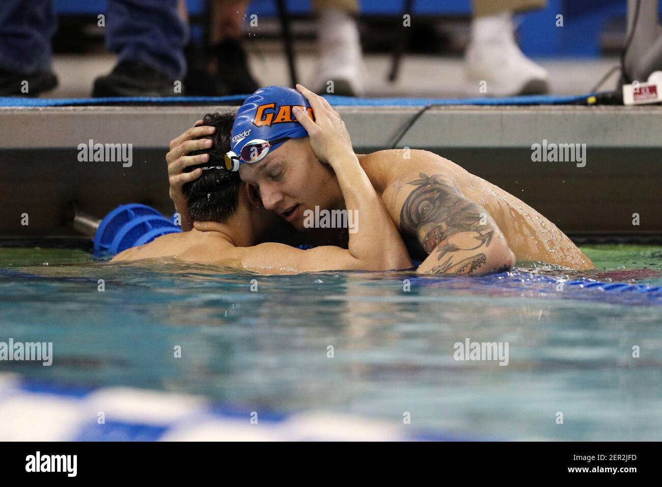 Division 1 Swimming Championships