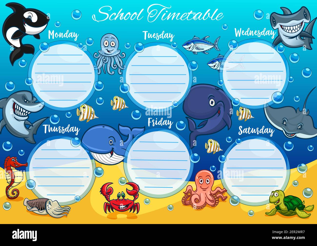 School timetable schedule, education vector template with background frame  of sea animals and fish. Study plan or weekly student planner of elementary  Stock Vector Image & Art - Alamy